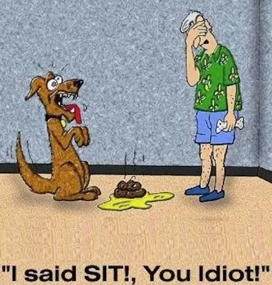 I said Sit!